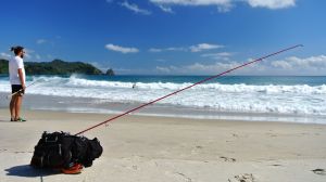 DSC_0423 - Version 2