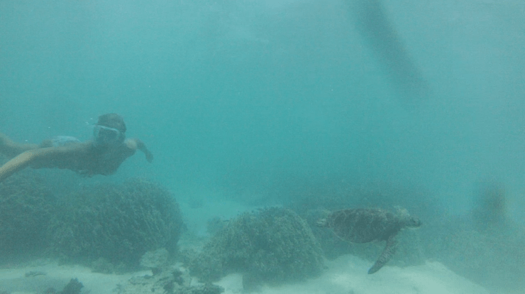 Capture d’écran 2014-01-05 à 22.28.15